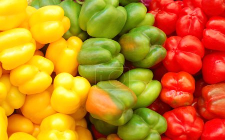 Close up of red, yellow and green peppers