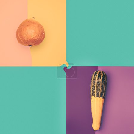 Design photo Pumpkin and Zucchini on colored backgrounds