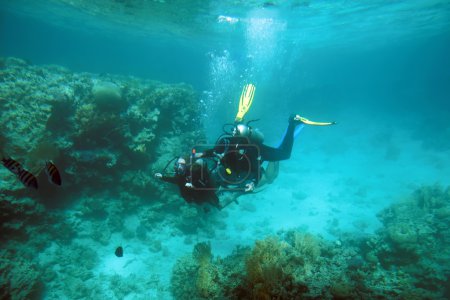 Two skin-divers under water