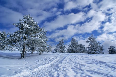 Winter landscape D