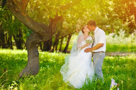 sunlight bride and groom newlyweds kissing in woods on green bac