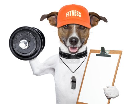 fitness dog