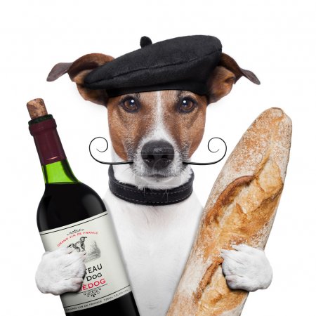 French dog wine baguete beret