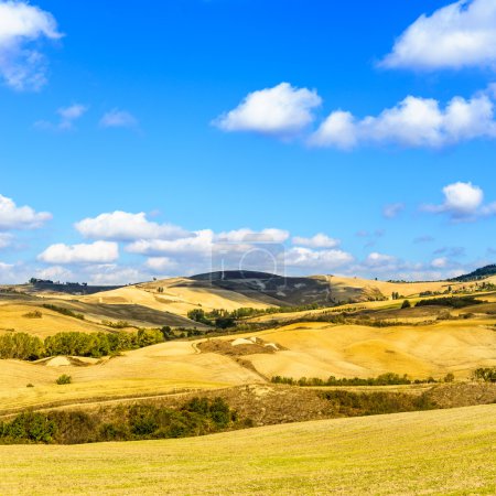 Rural Landscape of Tuscany near Volterra, Italy.