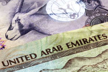 UAE Currency Closeup