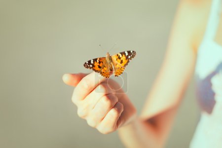 butterfly sitting on the girl hand