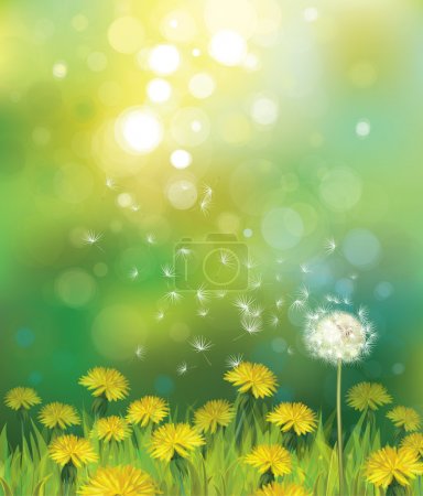 spring background with dandelions.