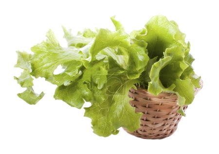 Lettuce in the basket
