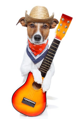 Country dog with a guitar
