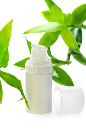 Face cream/serum/lotion/moisturizer among bamboo leaves