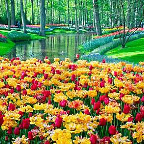 Najpiękniejsze ogrody