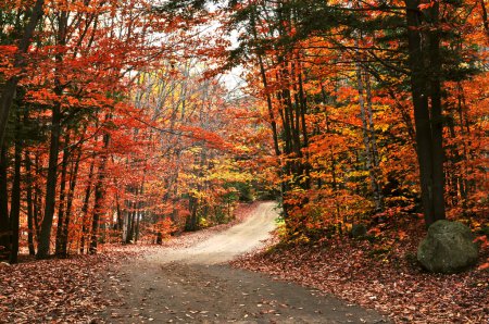 Autumn landscape with a path