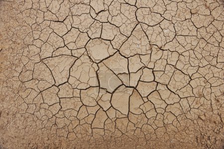 Desert texture