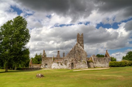 Adare Abbey in Ireland