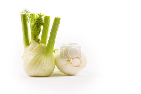 photo of fennel on white background