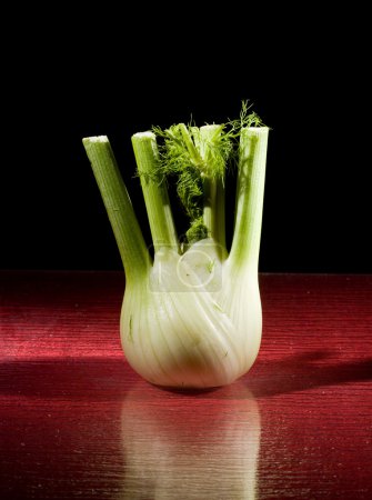 photo of fennel on red glasstable