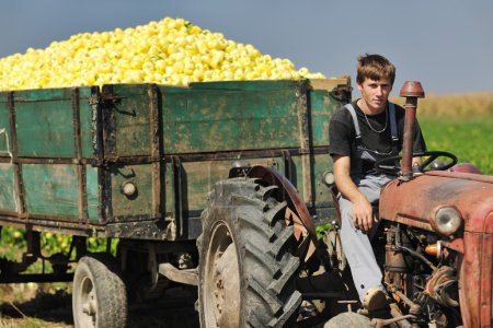 Agriculture worker with fresh vegetables