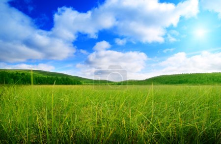 north mountains and green grass