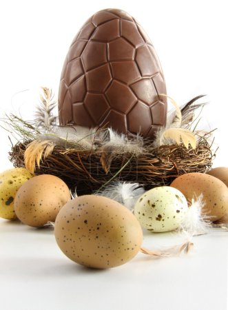 Big chocolate easter egg in nest with feathers