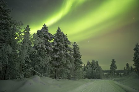 Aurora borealis over a track in winter, Finnish Lapland