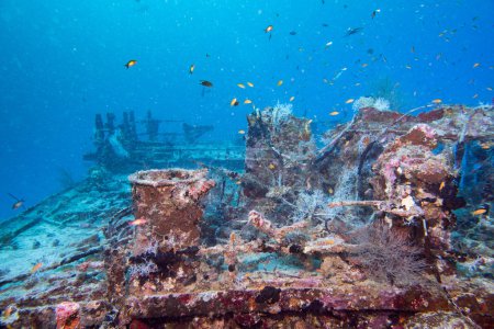Ship Wreck in maldives indian ocean