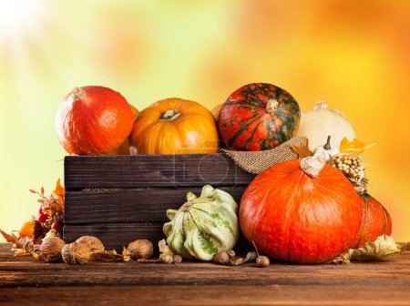 Autumn colored pumpkins in wooden box