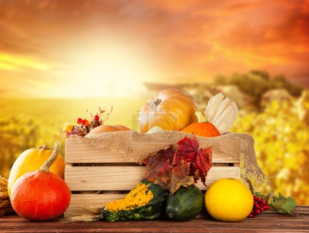 Autumn fruit and vegetable in wooden box