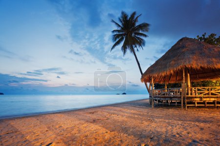 bungalows on a tropical beach 
