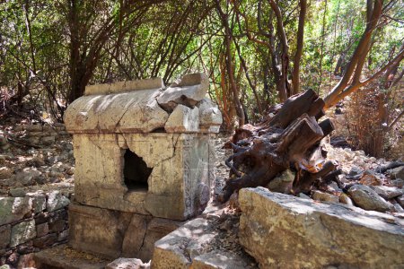Old tomb at Olympos in Turkey