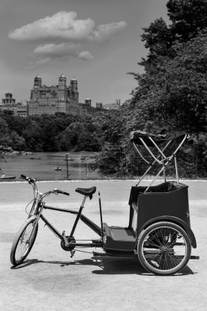 Central Park Manhattan The Lake rickshaw bike NY