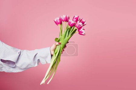 Cropped view of bouquet of tulips in hand of woman isolated on pink 