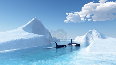 Whales swim in the ocean and iceberg