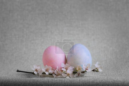 Pink, blue, yellow eggs Easter branch of the blossoming tree