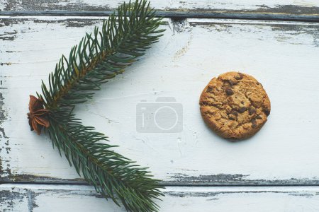 Biscuit and conifer