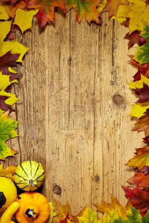 Autumn Fall background