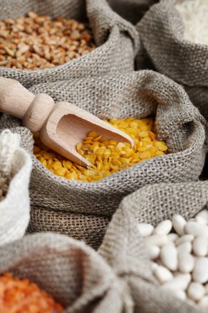 Corn and grains in bags