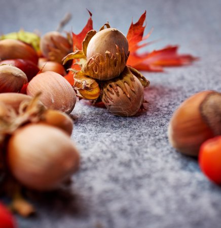 Nuts and berries on autumn background