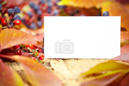 Blank card amongst autumn leaves