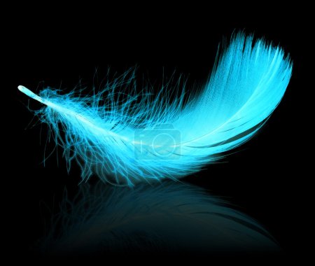 Blue neon feather