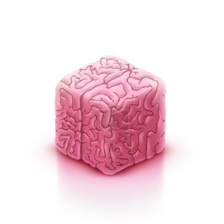 Cube style human brain