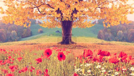 Beautiful landscape with poppy flowers and single tree with yell