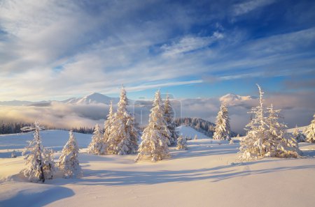 Winter landscape in mountains 