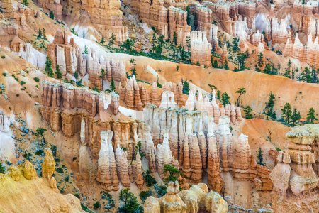 bryce canyon with spectacular hoodoos
