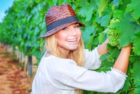 Happy girl picking grapes