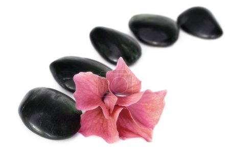 Spa Stones and Flower
