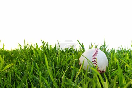 Baseball in Dewy Grass