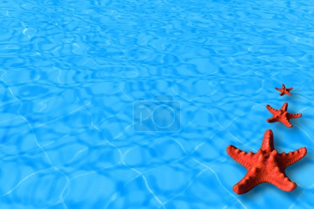 Water background with red starfish
