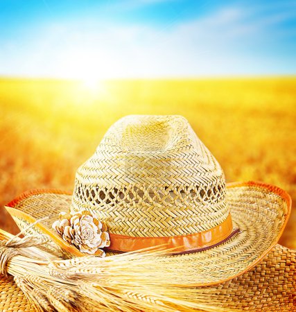 Wheat field and the hat of a farmer