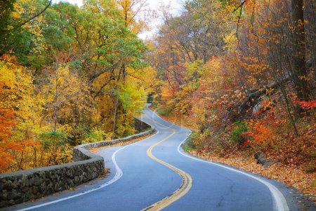 Colorful winding Autumn road