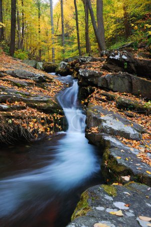 Autumn mountain creek on rocks